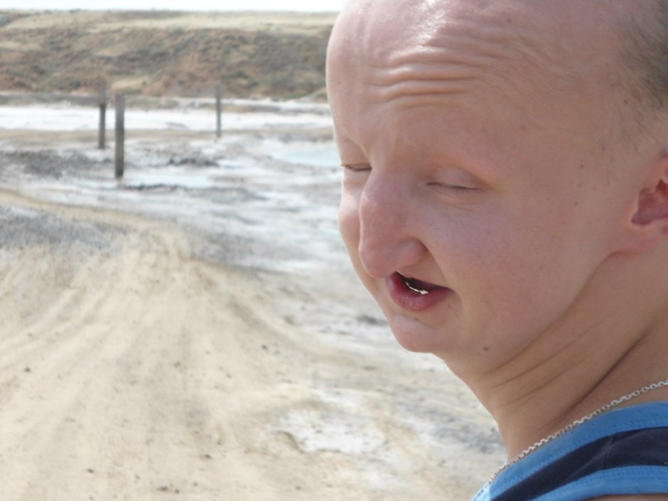 Хлопковый долгоносик