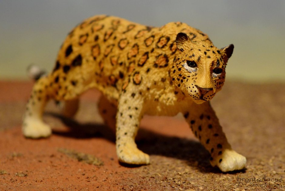 Collecta леопард