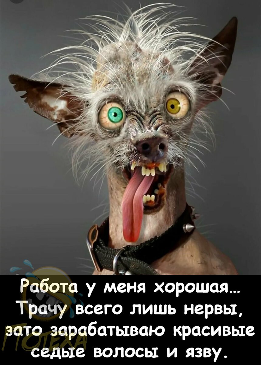 Опять пятница прикольные