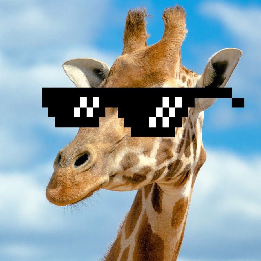 Жираф Акакий