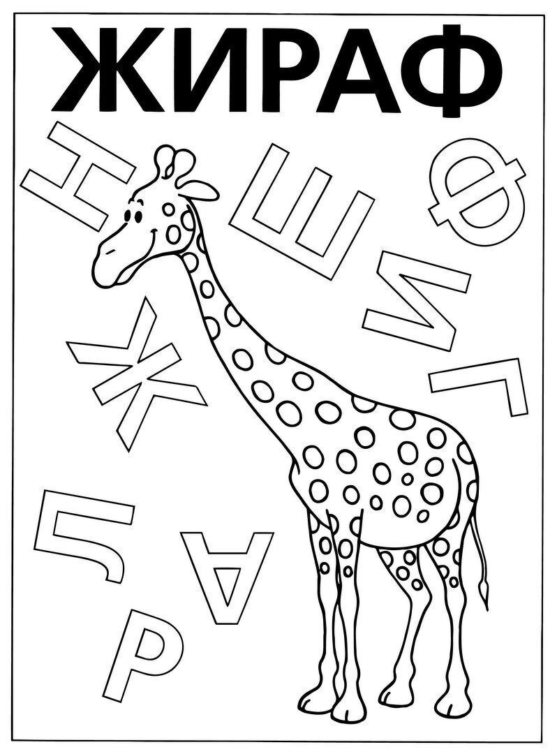 Обои на рабочий стол Жирафы