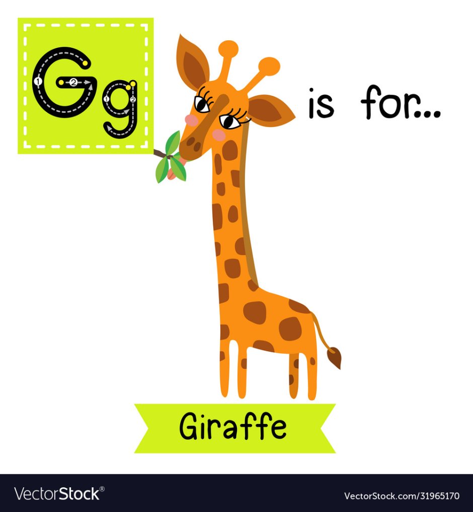 Giraffe картинка на букву g