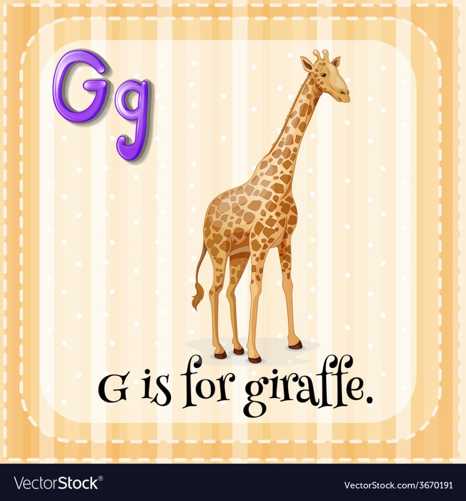 G is for Giraffe