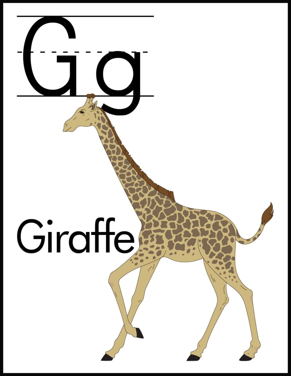 Слово Жираф