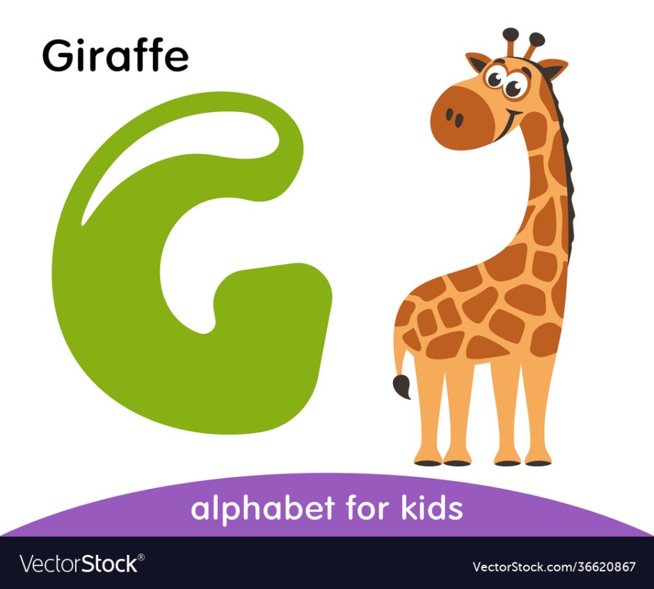 Жираф по английски