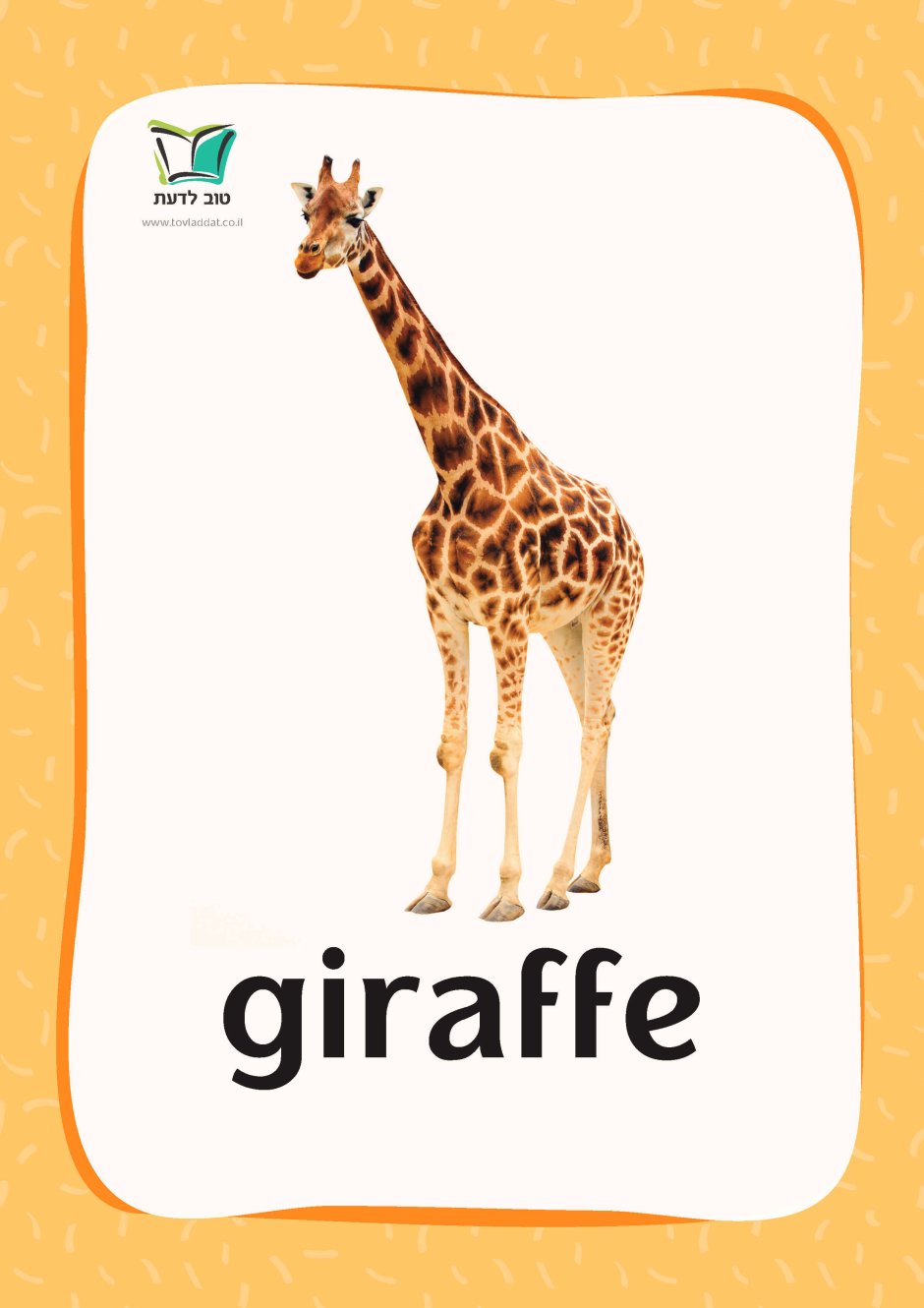 Жираф карточка на английском