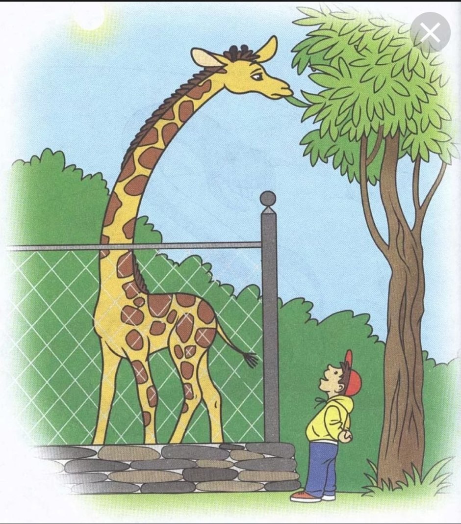G is for Giraffe