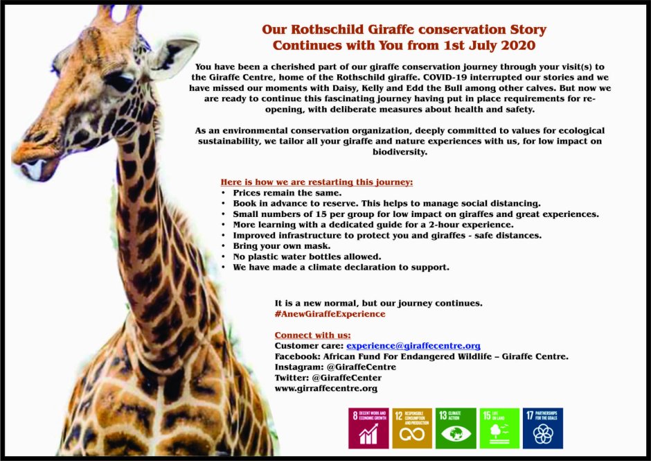 Жираф стадии принятия