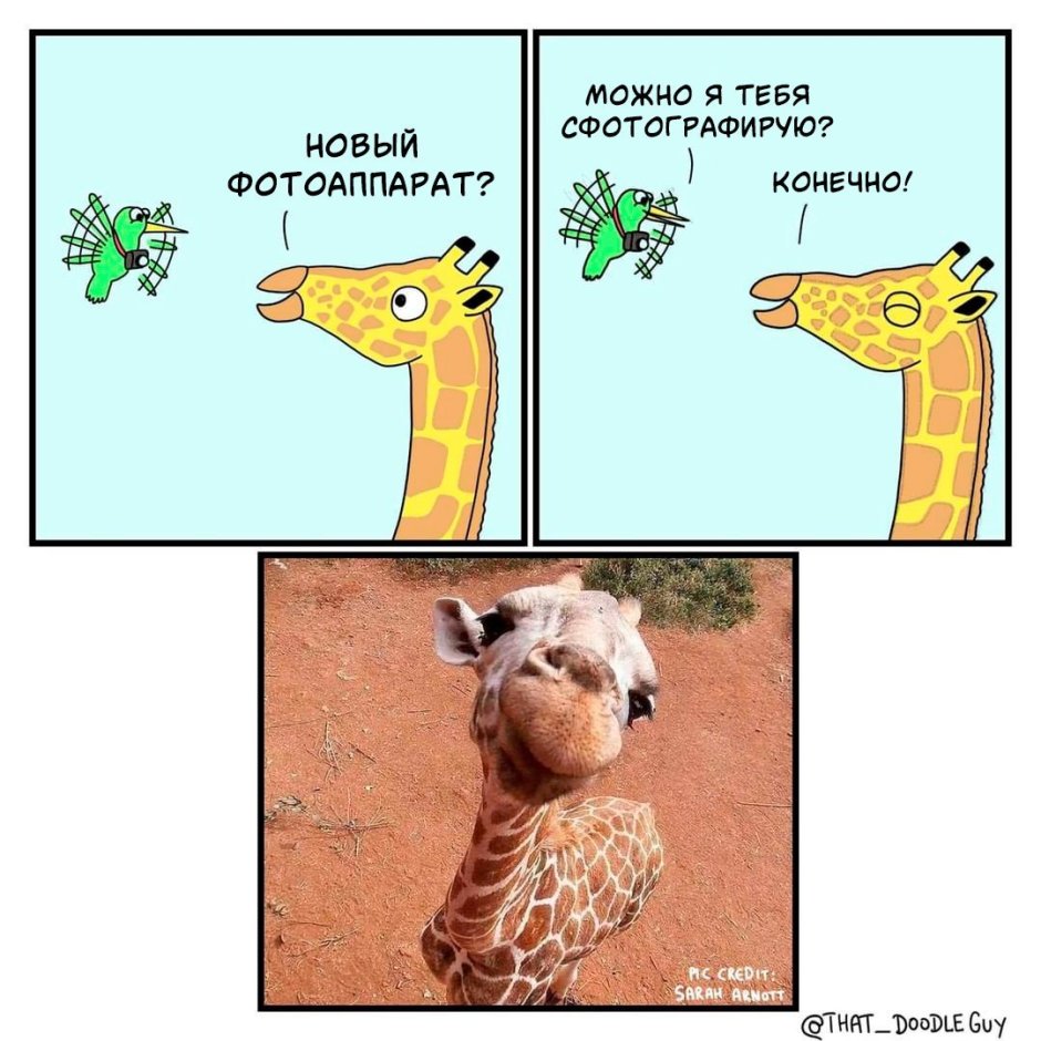 Жираф дебил