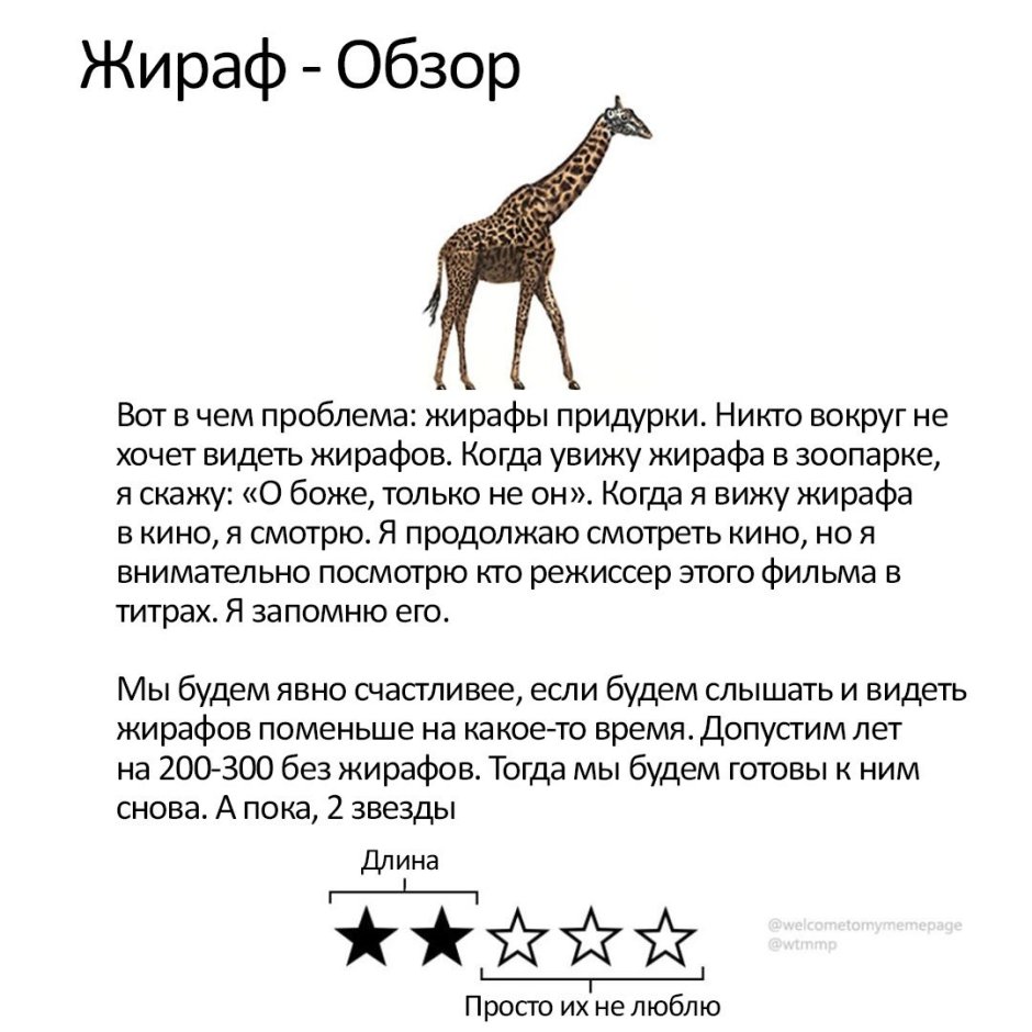 Загадка про жирафа