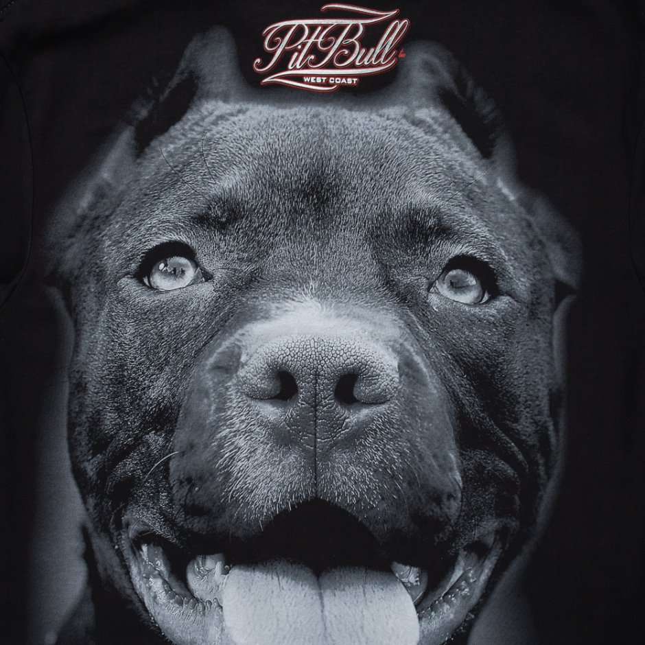 Стаффордширский терьер разноглазые