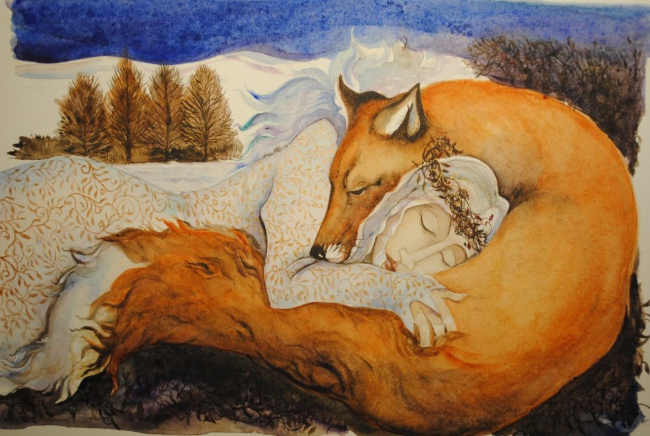 Лиса на дереве