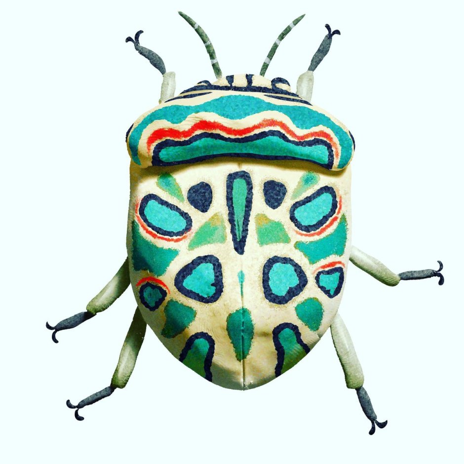 Клоп Пикассо