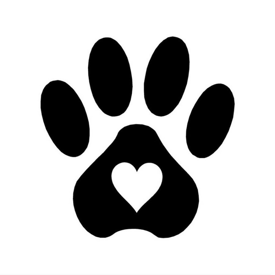 Замерзшая обезьянка Мем