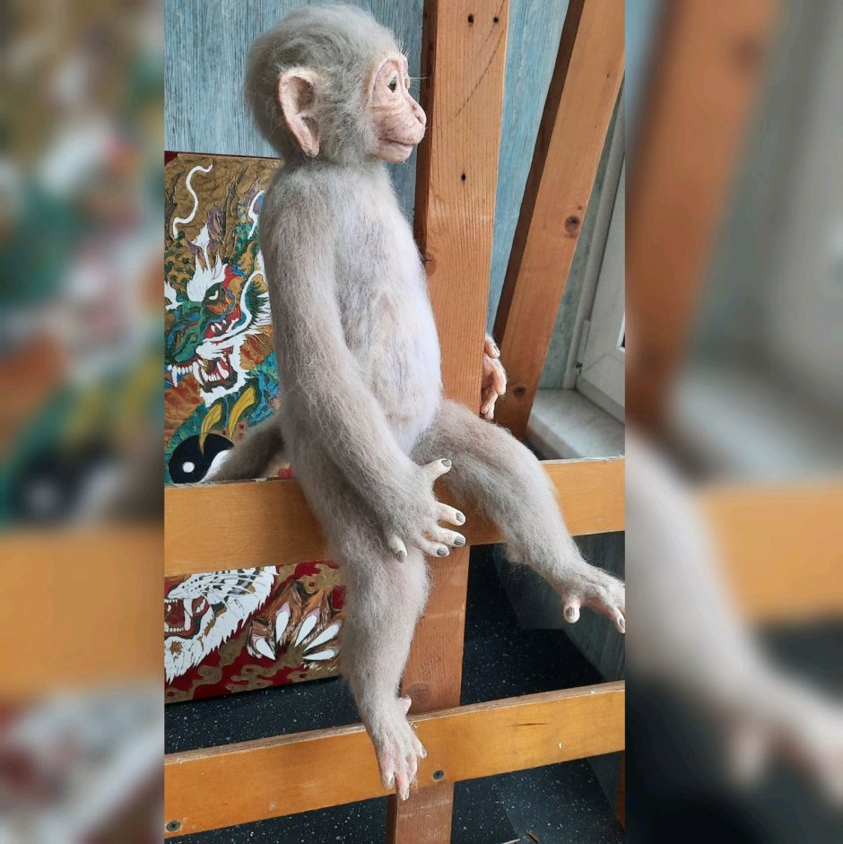 Следы обезьяны