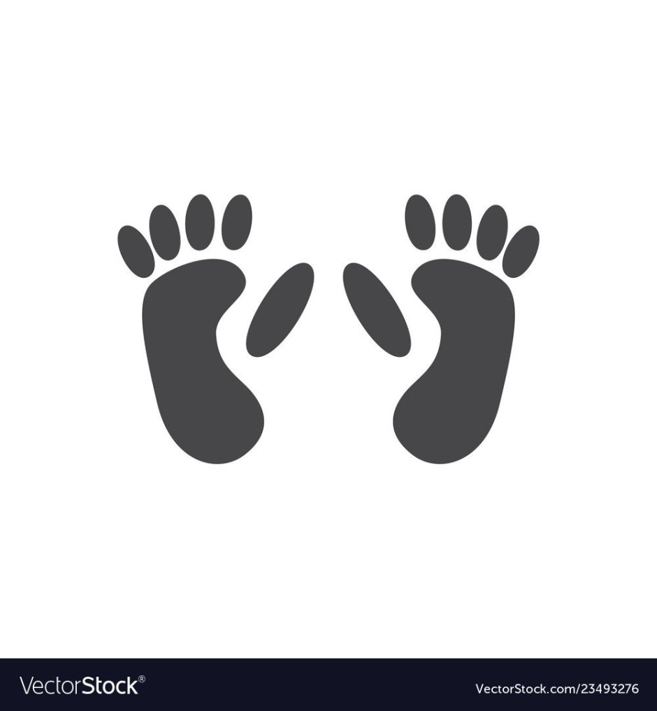 Галаго когти