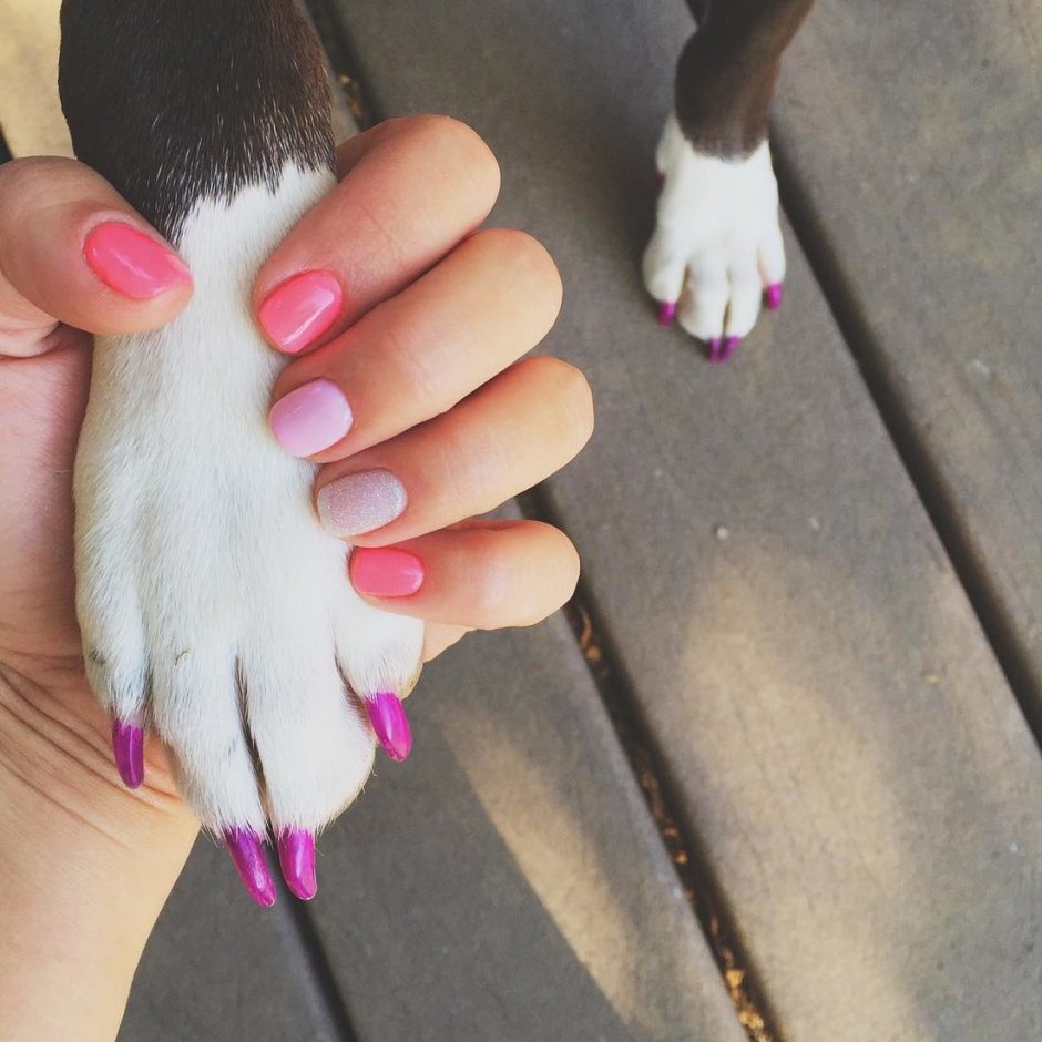 Нарисованная Кошачья лапка