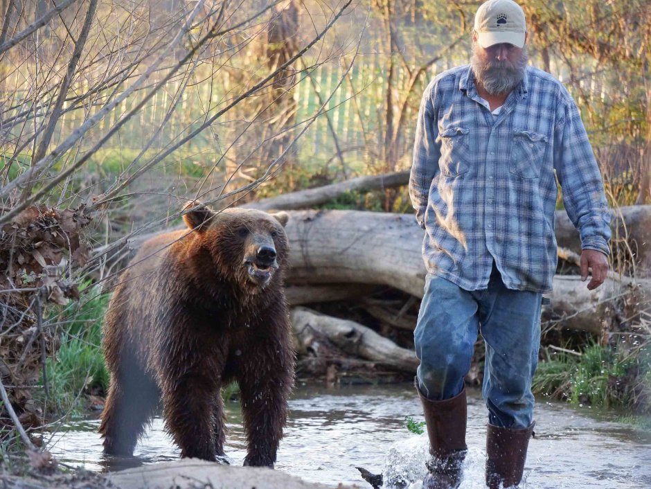 Гризли Grizzly (2013)