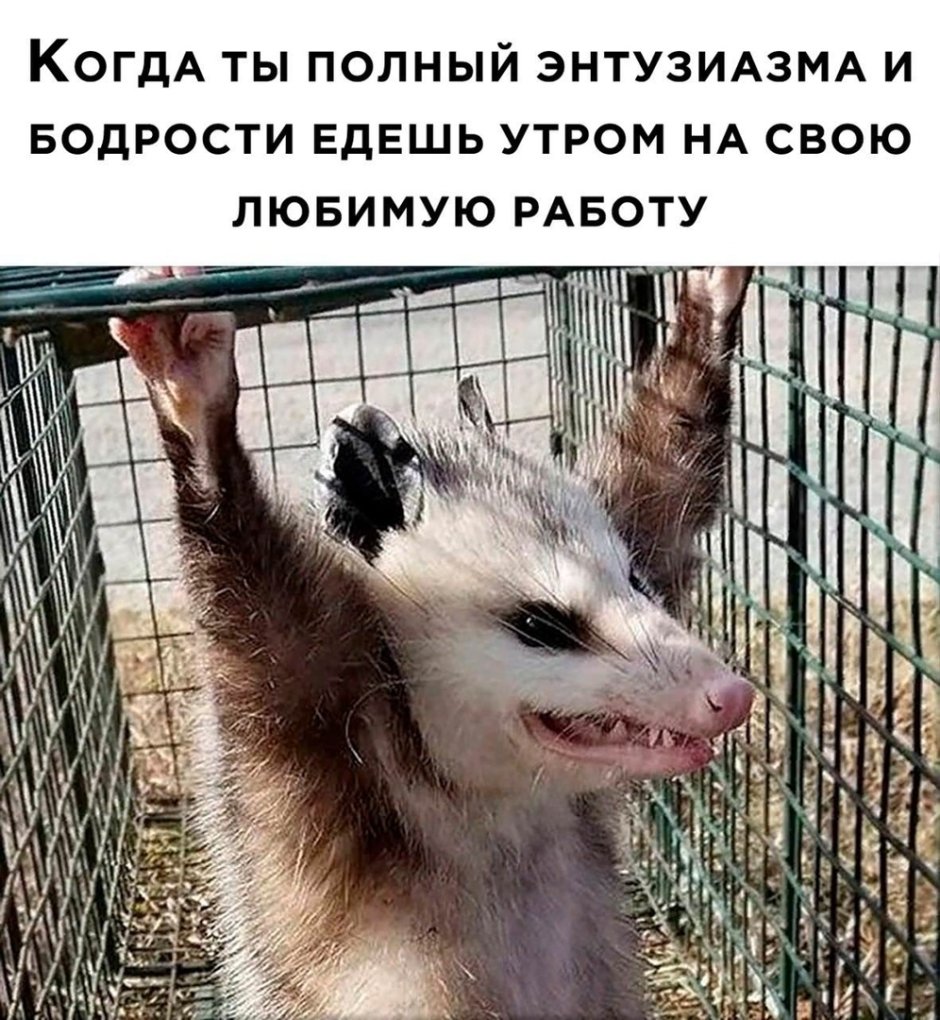 Шутки фотографии смешные