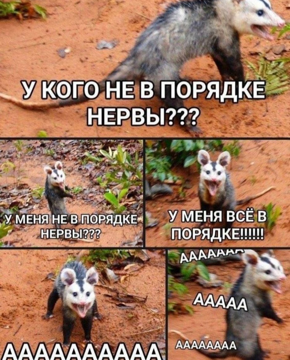 У кого нервы не в порядке