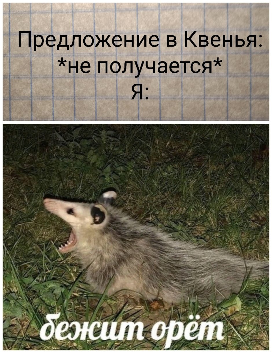 Опоссум бежит орет