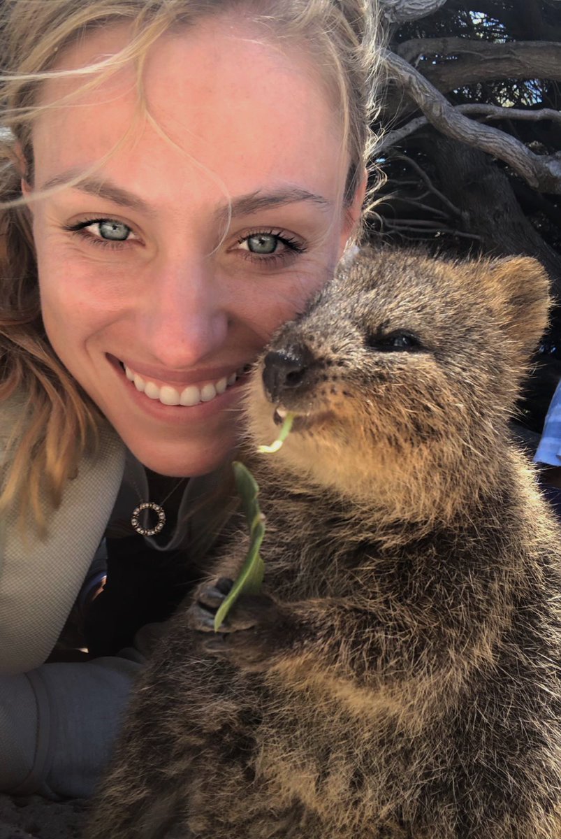 Квокка злая