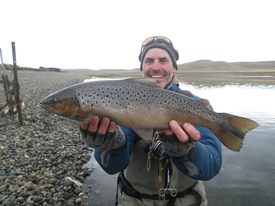 Кумжа рыба Сахалин