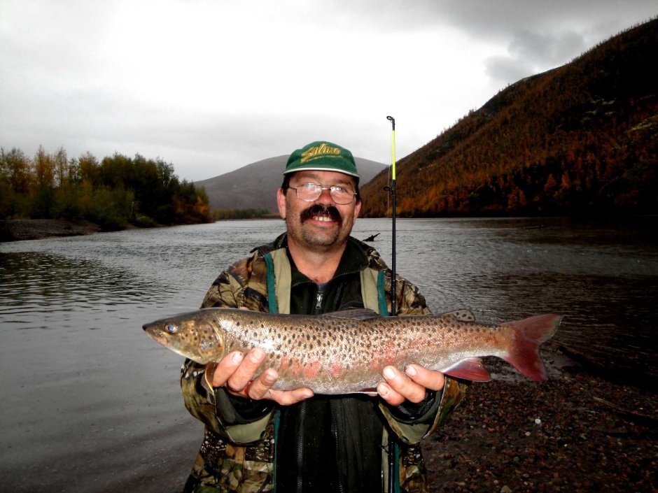 Хариус Колыма