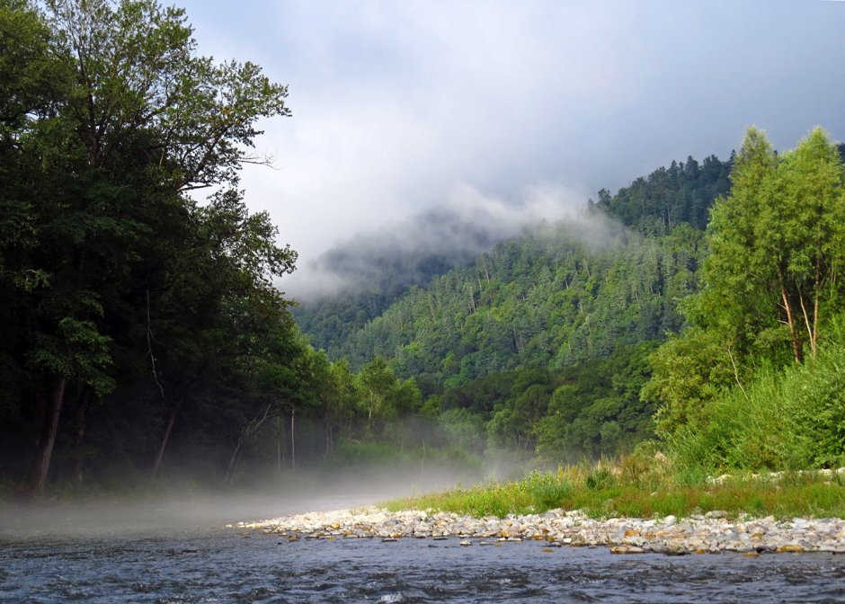 Национальный парк Удэгейская Легенда Приморский край
