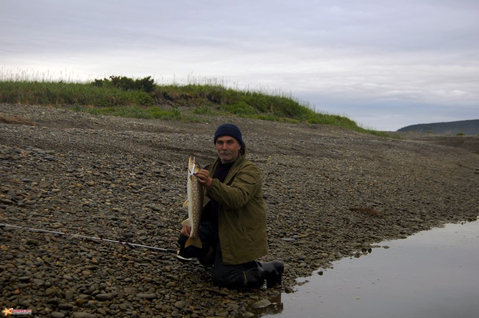 Шпатак нефтепирс