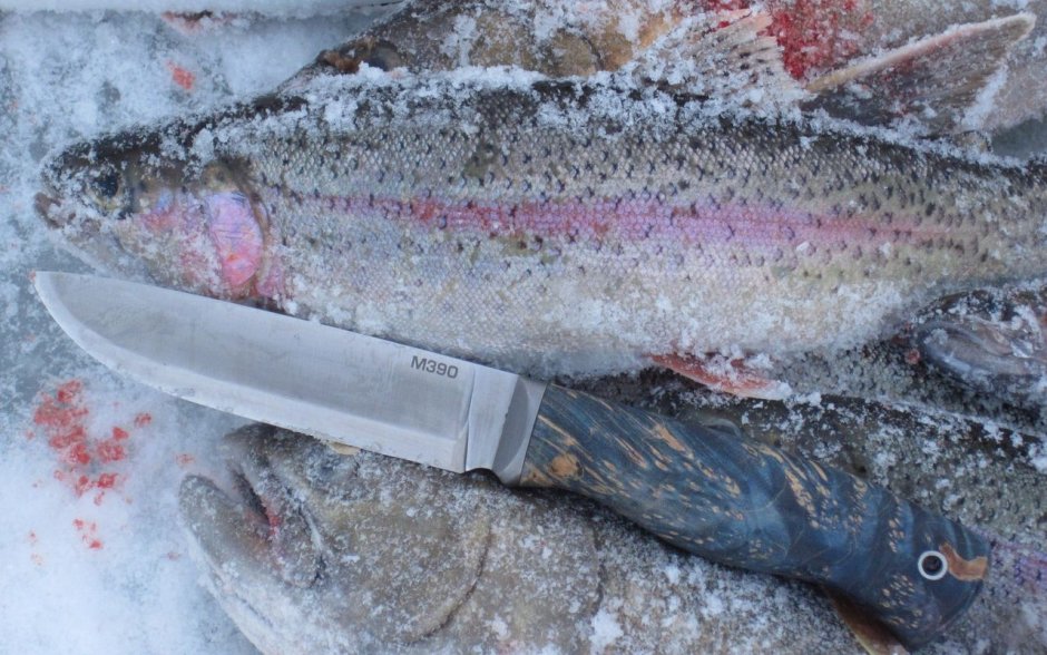 Кунжа в Кандалакше