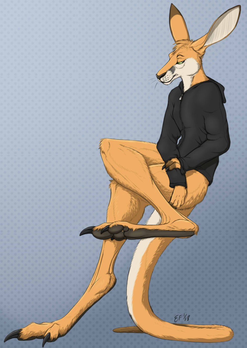 Валлару кенгуру