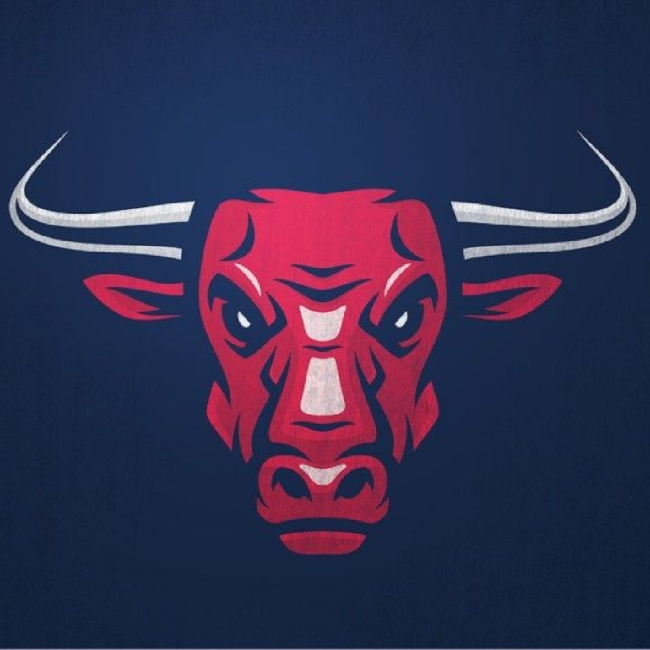 Chicago bulls бык