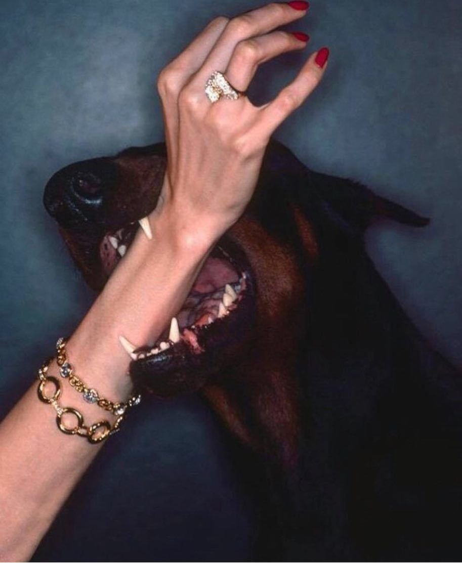 Доберман Black aesthetic