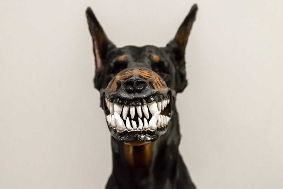 Агрессивная собака