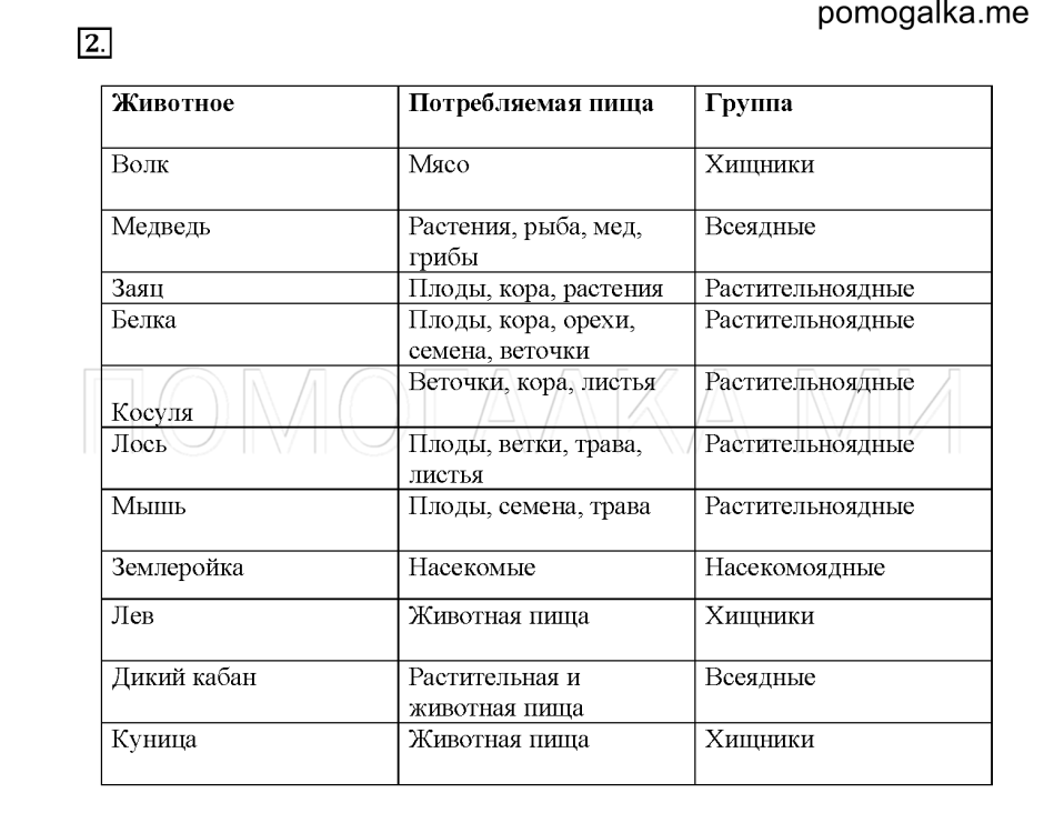 Питание животных 6 класс биология таблица