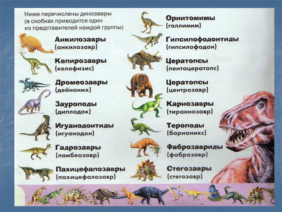 Виды динозавров