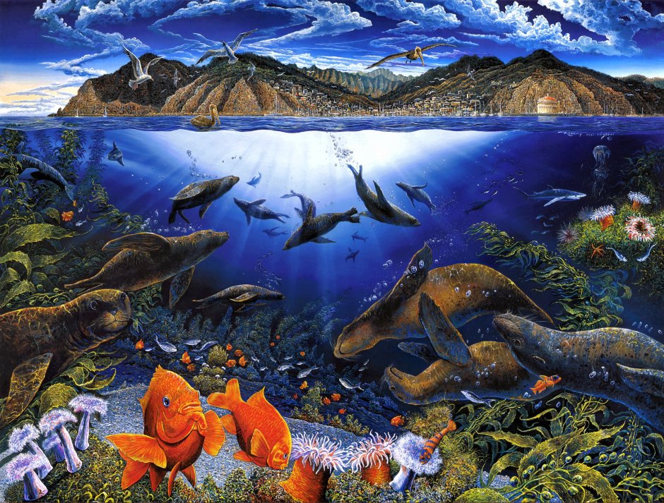 Рифы красного моря