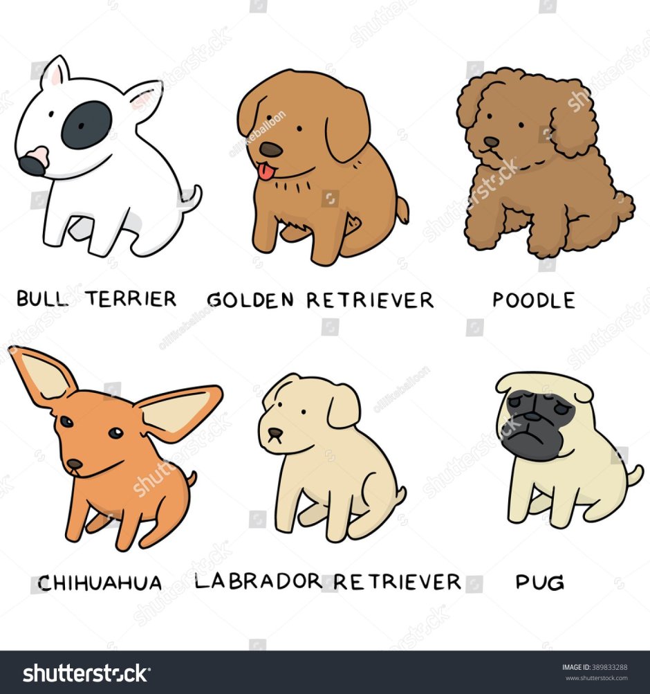 Питбультерьер мастиф