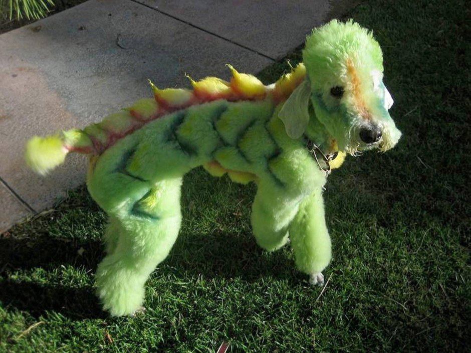 Стафф с цветами