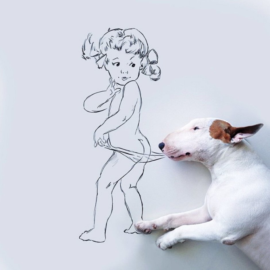 Шапка для бультерьера