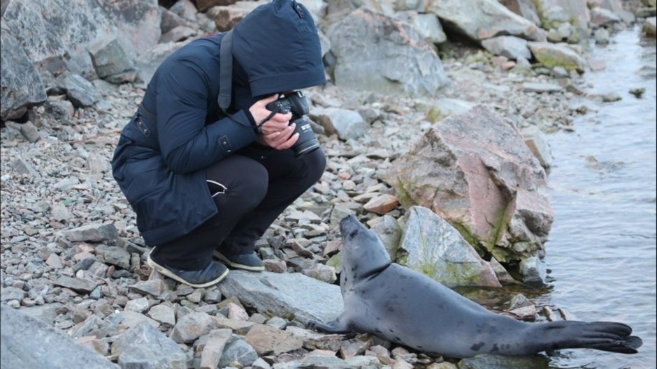 Marine mammals names