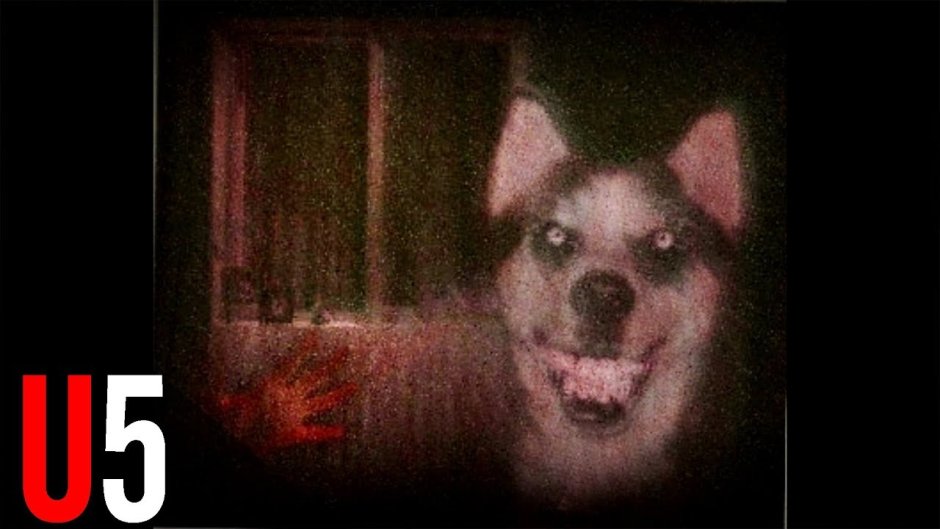 Смайл дог ночной кошмар