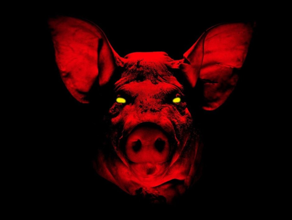 Черная собака с красными глазами