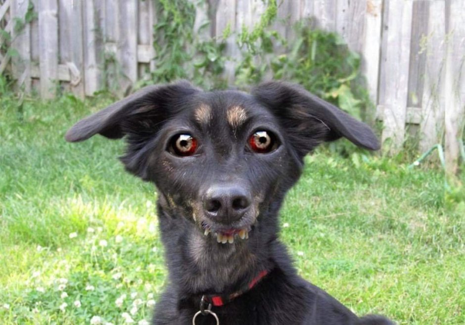 Фотография страница удалена