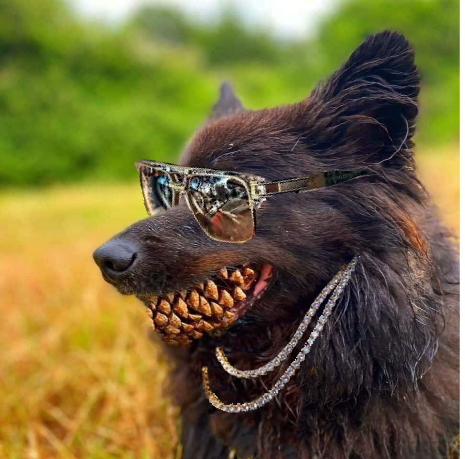 Собачий оскал