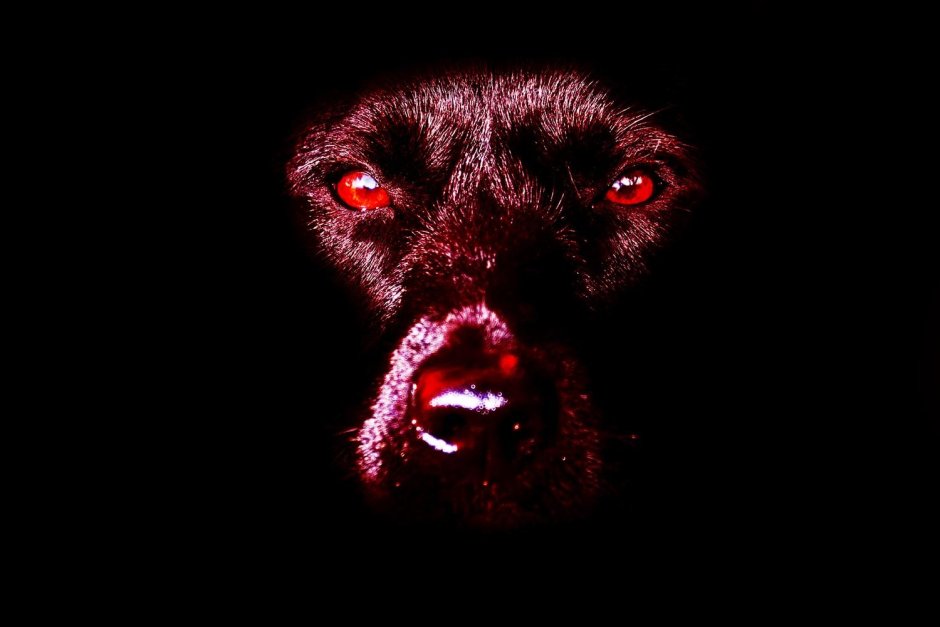 Страница удалена