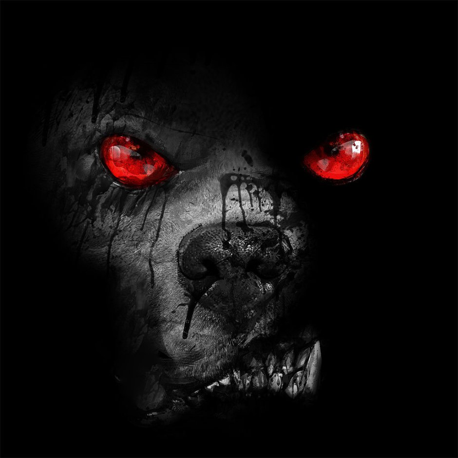 Немецкая овчарка злая