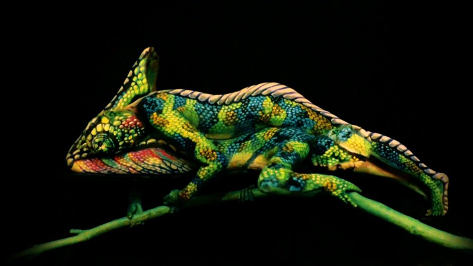 Ящерица 3d