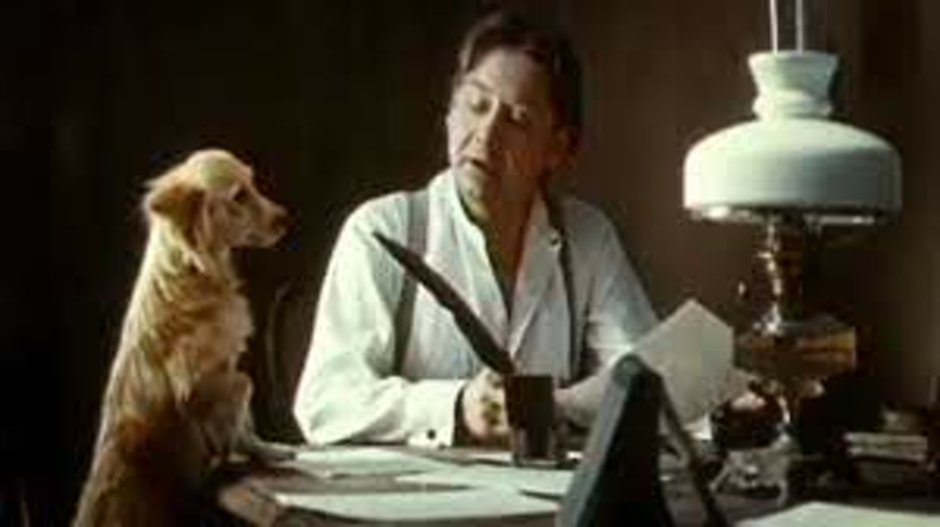 Дальневосточная каштанка собака